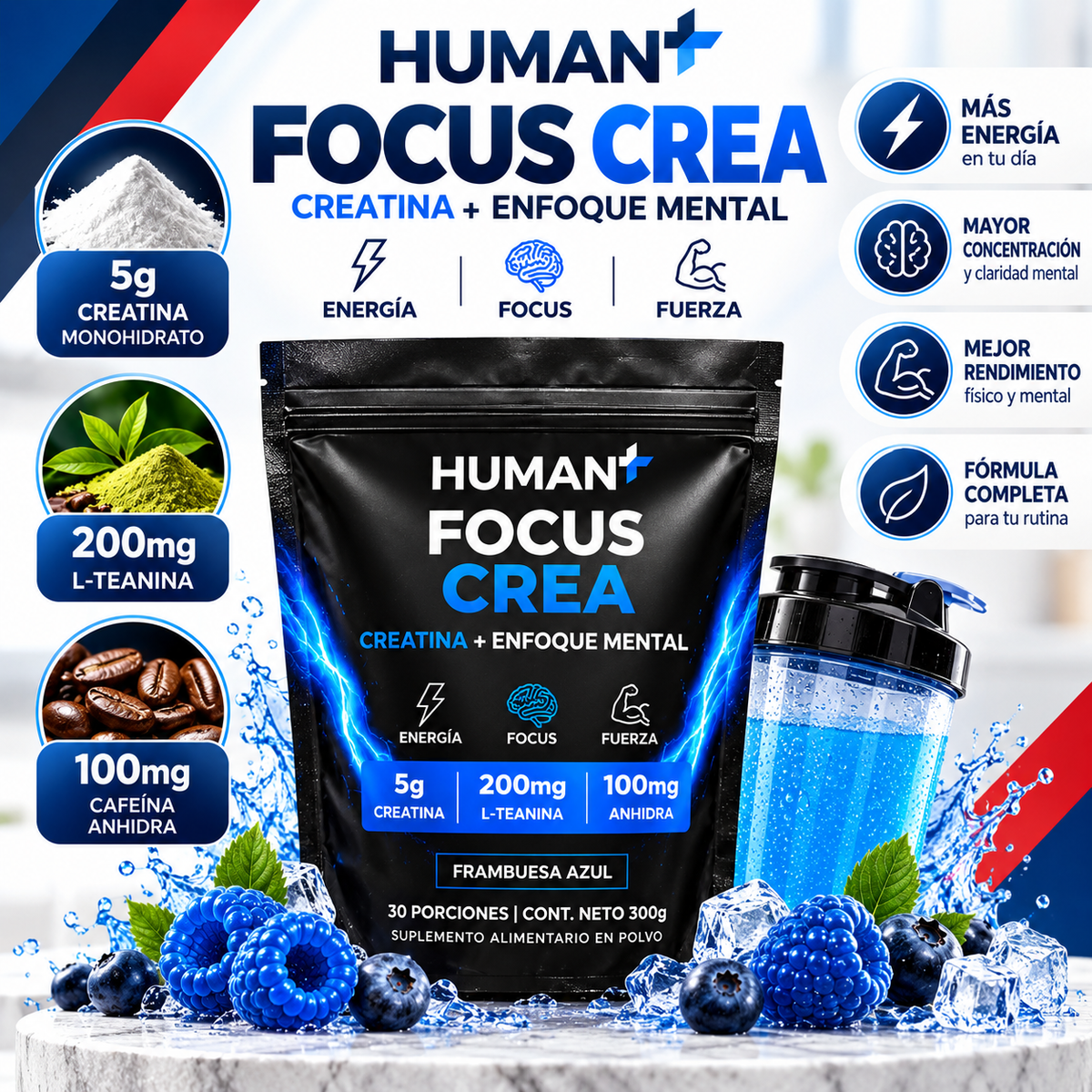 FOCUS CREA HUMAN+